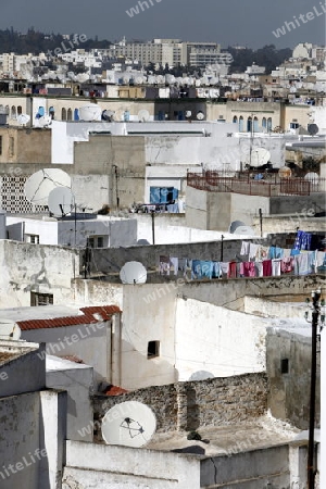 Afrika, Nordafrika, Tunesien, Tunis
Eine Gasse in der Medina mit dem Markt oder Souq in der Altstadt der Tunesischen Hauptstadt Tunis.




