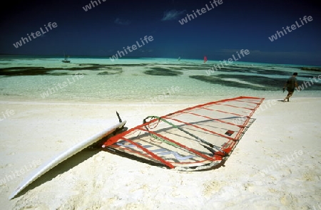 
Surfbretter am Strand der Insel Meeru im Northmale Atoll auf den Inseln der Malediven im Indischen Ozean. 