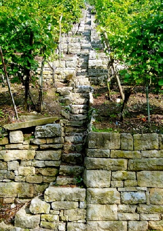 Weinbergmauer und -Treppe aus groben Natursteinen