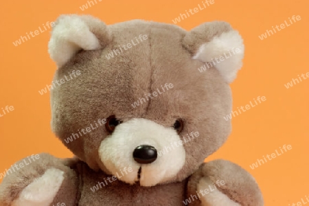 Weicher Teddyb?r mit orangenem Hintergrund
