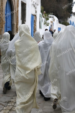 Afrika, Nordafrika, Tunesien, Tunis, Sidi Bou Said
Junge Frauen im traditionellen weissen Schleier in der Altstadt von Sidi Bou Said in der Daemmerung am Mittelmeer und noerdlich der Tunesischen Hauptstadt Tunis.





