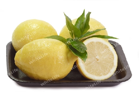 Zitronen auf weissem Hintergrund