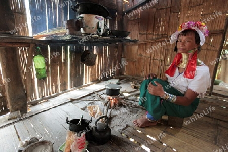 Eine Traditionell gekleidete Langhals Frau eines Paudang Stammes aus Burma lebt in einem Dorf noerdlich von Chiang Mai in Nord Thailand. 