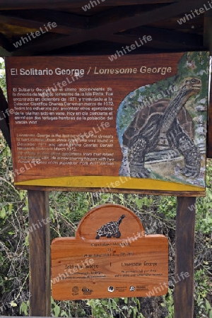 Schild und Todestafel des im Juni 2012 verstorbenen Lonesome George, letzte bekanntes Tier einer Riesenschildkroetenunterart (Geochelone elephantopus abingdoni), Darwin Station , Insel Santa Cruz, Galapagos , Unesco Welterbe, Ecuador, Suedamerika