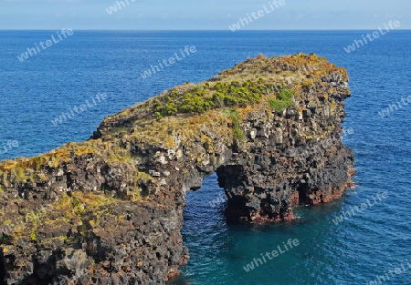 Felsbogen an der K?ste der Insel Faial / Azoren