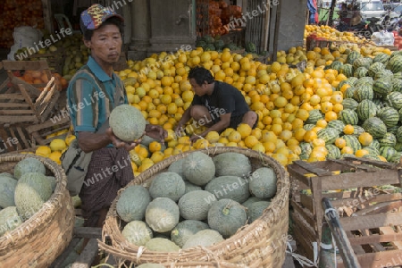 a Melon shop at a Street Food market in the City of Mandalay in Myanmar in Southeastasia.