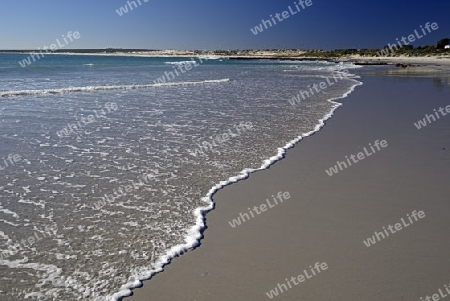 Strand in Lamberts Bay,  West Kap, Western Cape, S?dafrika, Afrika