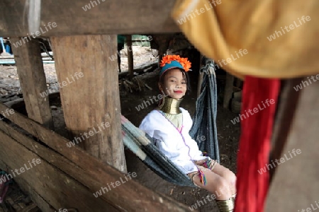 Eine Traditionell gekleidete Langhals Frau eines Paudang Stammes aus Burma lebt in einem Dorf noerdlich von Chiang Mai in Nord Thailand.