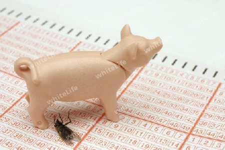 Gl?cksschwein und Lottoschein