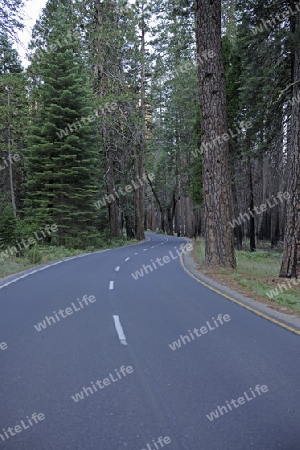Strasse im  Yosemite Nationalpark, Kalifornien, USA