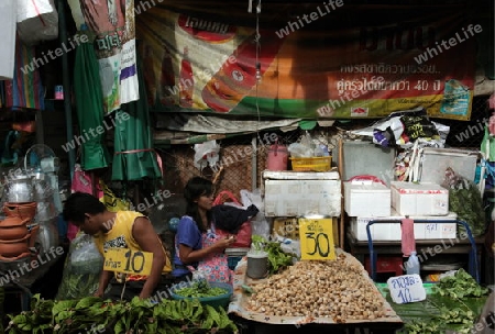 Gemuese auf dem Markt von Nonthaburi im Norden von Bangkok der Hauptstadt von Thailand in Suedostasien.  