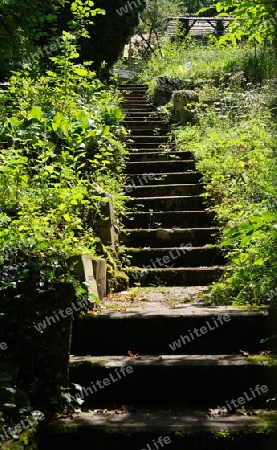 Steintreppe zum Garten