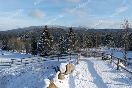 Harz, Winterlandschaft mit Blick zum Brocken