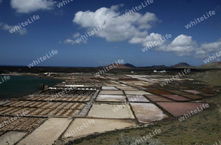 The Salinas in the Laguna of El Charco on the Island of Lanzarote on the Canary Islands of Spain in the Atlantic Ocean.