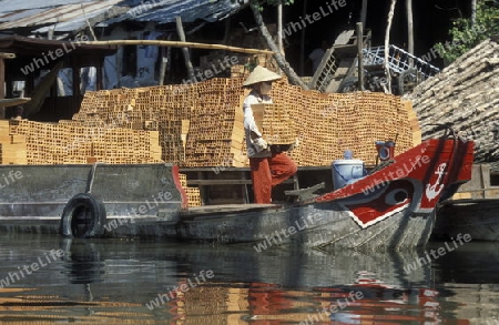 Asien, Vietnam, Mekong Delta, Cantho
Eine Vietnamesische Arbeiterin beim entladen eines Holzschiffes von Bausteinen bei der Stadt Cantho im Mekong Delta in Sued Vietnam.        






