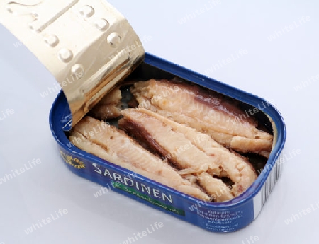 sardinen