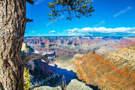 In the Grand Canyon National Park Arizona USA