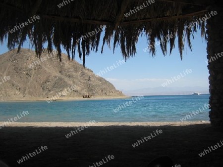 Red Sea Beach Sinai