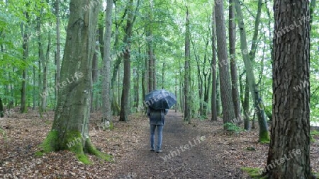 Mann geht im Regen durch Wald