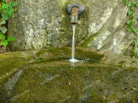 Brunnen, Quelle im Wald P1260852