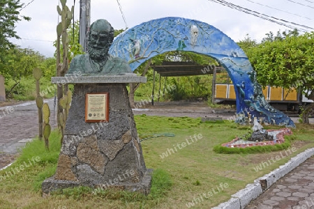 Denkmal fuer Charles Darwin,  Insel Santa Cruz, Galapagos , Unesco Welterbe, Ecuador, Suedamerika