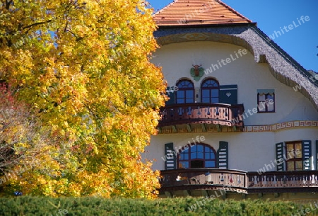 Bauernhaus mit gro?em Baum in Herbstfarben
