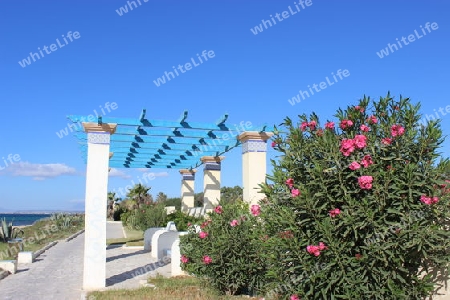 Tunesien, K?stenpromenade  in  Hammamet