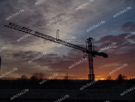 Crane in the sunset from the bridge of freedom in Novi Sad