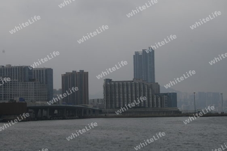 Skyline von Hongkong von der Star Avenue aus gesehen