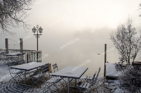 nebliger Wintermorgen am Rheinufer