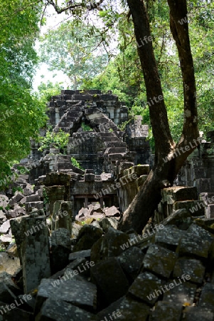 The Tempel Ruin of  Beng Mealea 32 Km north of in the Temple City of Angkor near the City of Siem Riep in the west of Cambodia.