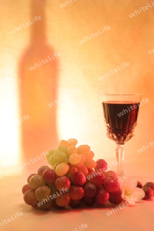 Wine, fruits macadamia angled