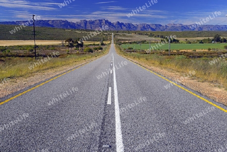 Strasse R364 zwischen Lamberts Bay und Clanwilliam, im Hintergrund die Cederberge,  West Kap, Western Cape, S?dafrika, Afrika