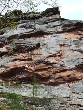 Trifels Kletterwand