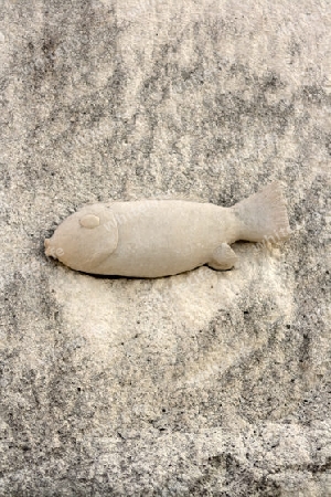 Fisch im Stein 