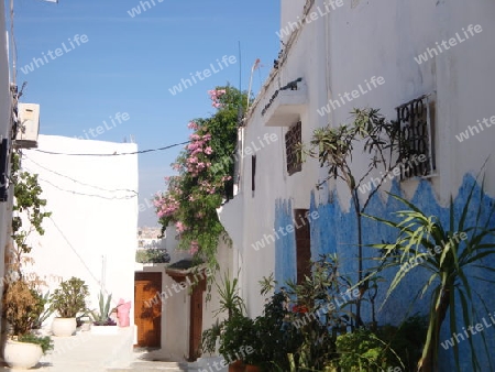 Marokkanische Hausfasade
