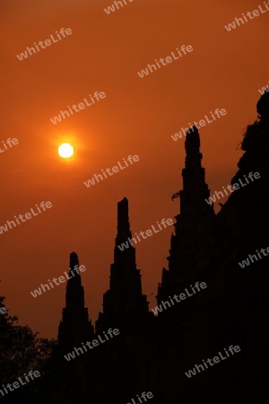 Der Wat Chai Wattanaram Tempel in der Tempelstadt Ayutthaya noerdlich von Bangkok in Thailand.