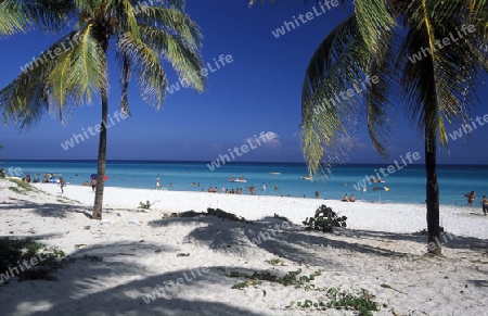 a beach on the coast of Varadero on Cuba in the caribbean sea.