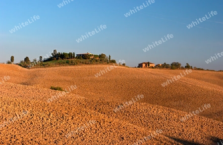 Felder in der Toskana