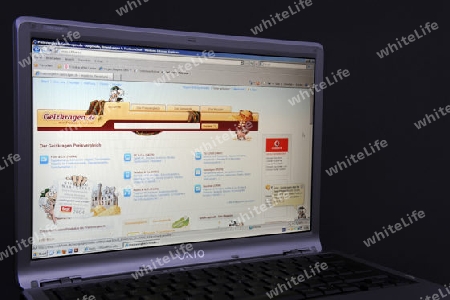 Website, Internetseite, Internetauftritt des Preisvergleichsportals Geizkragen.de  auf Bildschirm von Sony Vaio  Notebook, Laptop