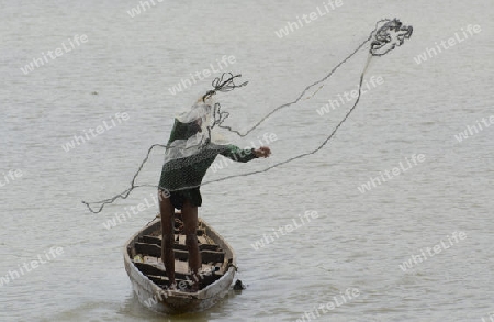 Ein Fischer auf dem Moon River in der Umgebung von Ubon Ratchathani im nordosten von Thailand in Suedostasien.