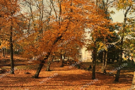 Kurpark im Herbst