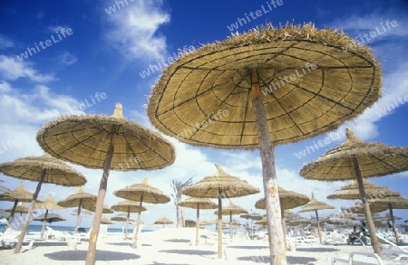 Der Strand am Mittelmeer an der Altstadt in Monastir am Mittelmeer im Nordosten von Tunesien in Nordafrika.