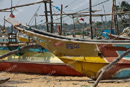 Fischerboote  - Sri Lanka