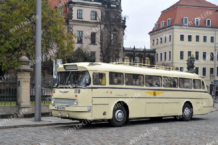 Bus Ikarus 66 in Dresden