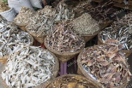 a fish market at a marketstreet in the City of Mandalay in Myanmar in Southeastasia.
