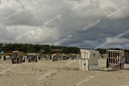 Strand in Prerow, Darss, Ostsee