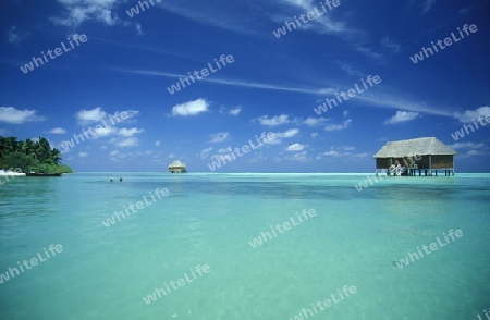 
Die Wasser Bungalows am Strand der Insel Veligandu im Artsu Atoll auf den Inseln der Malediven im Indischen Ozean.   