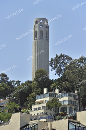 Coit Tower am Morgen, San Francisco, Kalifornien, USA