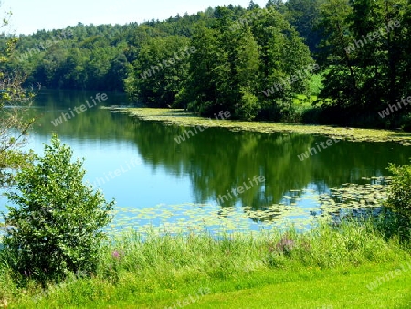 Idyllisch gelegener See umrahmt von Wiese und Wald  2